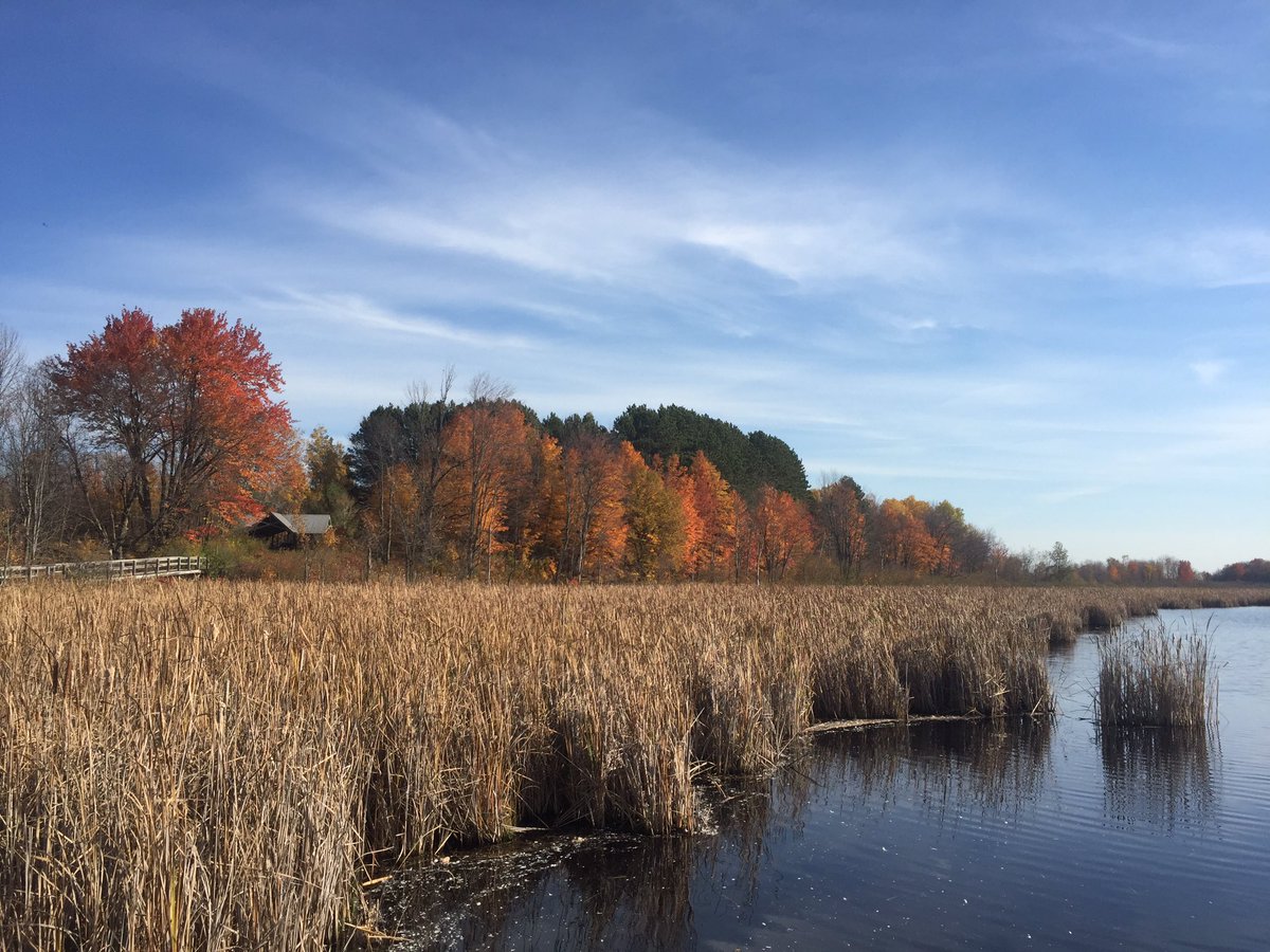 WellmanStudio's tweet image. Great day to spen at the bog