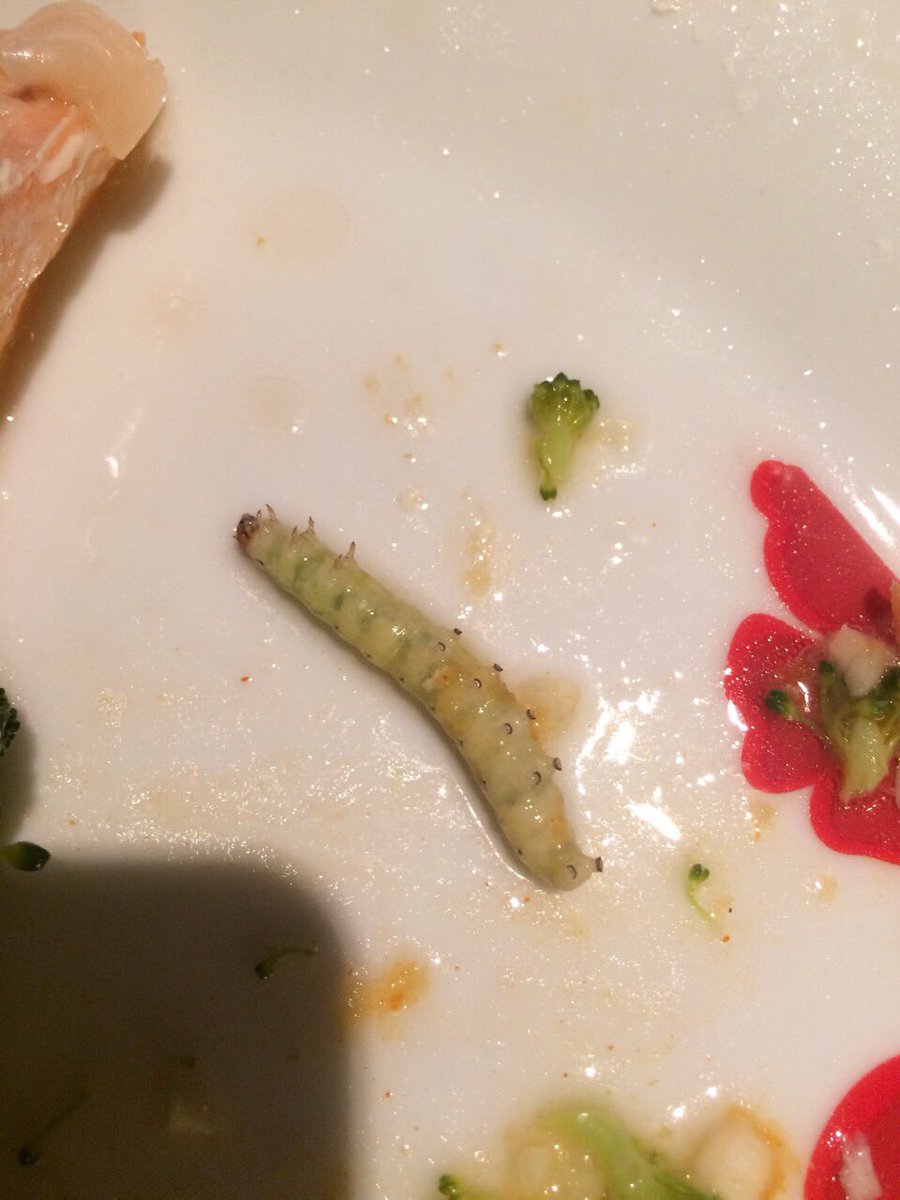 fernae10's tweet photo. Totally gross guest in my sister’s broccoli tonight @sainsburys do you not check when packing? #disgusting https://t.co/MnRWMcKTYO