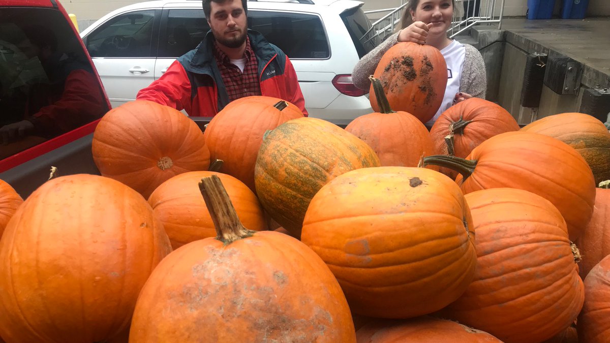 KYAgCommish35's tweet photo. Had a great time delivering Kentucky Proud pumpkins to the @universityofkyβs #SeeBoo today! #KyAg365 π @kentuckyag https://t.co/IKsBvzymPI