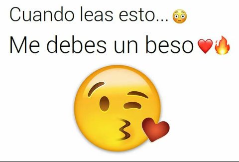 Novios62 tweet picture