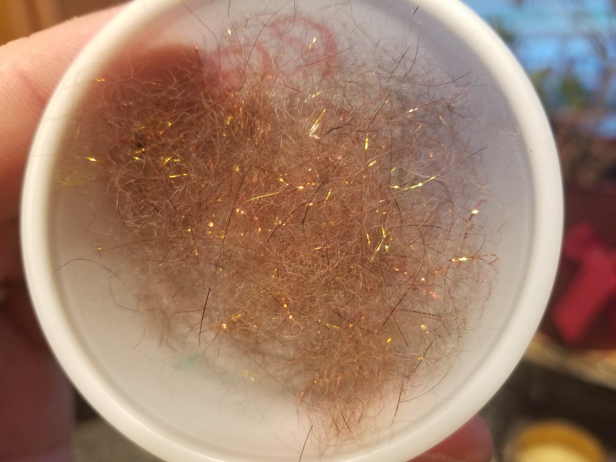hronthefly's tweet image. The dog got into the xmas decorations...so now he became dubbing. Ok, this is my brother's dog's fur whipped in a coffee grinder.
