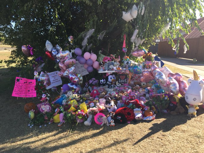 View image on Twitter