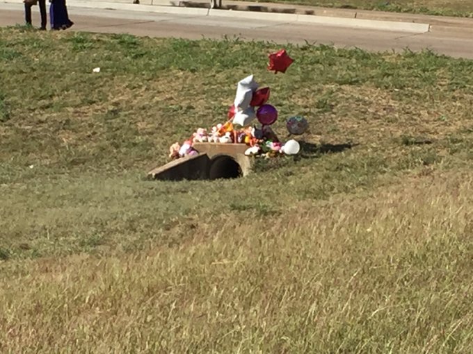 View image on Twitter