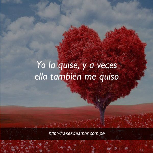 frasesDamorr2's tweet photo. Yo la quise y a veces ella también me quiso #frasesdeamor https://t.co/AtWIH6O2wH https://t.co/TGN3yO6UZu