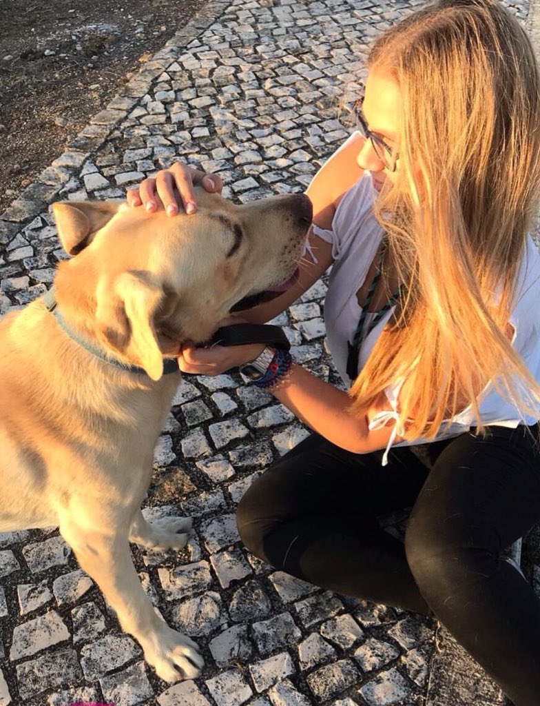 marianasapalma's tweet photo. Muito amor numa fotografia ❤️#simbaaaaa https://t.co/7Idj2cPx2s