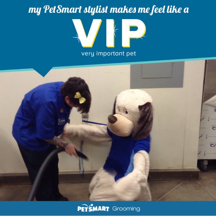 petsmart2069's tweet photo. #chance&amp;lucky getting ready for another weekend of fun come see us 12-3 pm next weekend #petsmartevents #Halloween2017 https://t.co/olLangFn6n