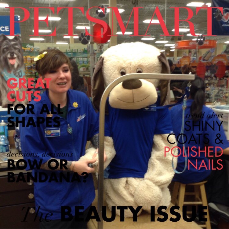 petsmart2069's tweet photo. Chance getting his nails done for next weekend #petsmartevents #Halloween2017 https://t.co/7gI4DM5n16