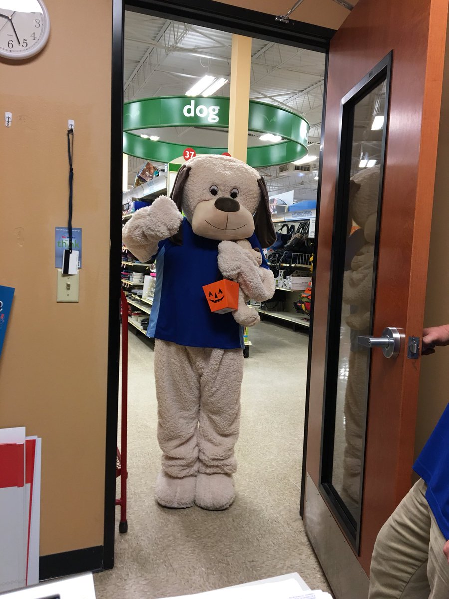 petsmart2069's tweet photo. Did you miss us last weekend, come see Chance this weekend 12-3 #petsmartevents #Halloween2017 https://t.co/Rc0yGUD9L2
