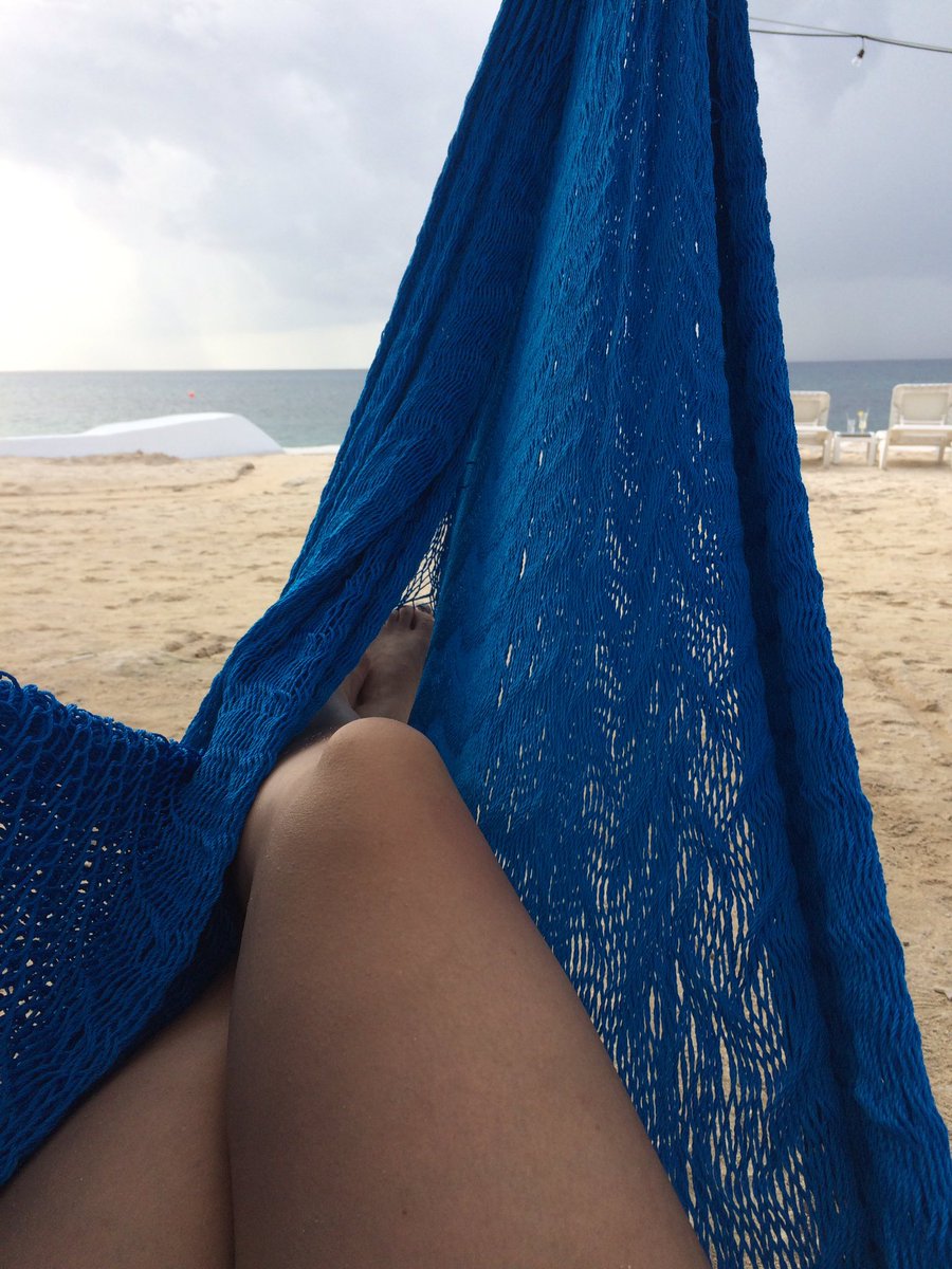 FurGuru's tweet photo. The Guru is having the time of her life. Follow her steps in this amazing journey @furgurusnaps #mexico #thedream #gothere #explore https://t.co/r3f5vA0Z3A