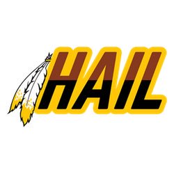 sunflowersusie2's tweet photo. I feel like it's #gameday all week.. anyhoo, ITS FOOTBALL NIGHT! #REDSKINS #HTTR #RedskinsNation #RedskinsTweetTeam https://t.co/iejLruYBfr