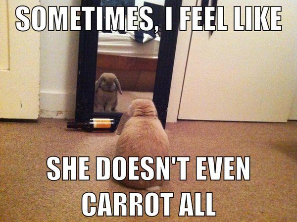 ThePunnyWorld's tweet image. Breakup bunny