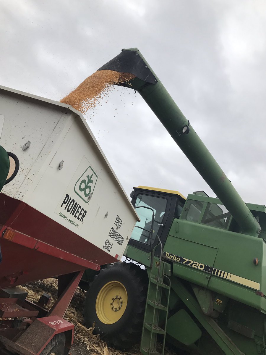 brenniee94's tweet photo. A sight like #P9870AM sure helps to boost morale on a chilly plot day. Taking home a win with 224bu/a near Wheaton, MN! #PlacedToPerform #Harvest2017 @PioneerMN @PioneerNDakota @PioneerSDakota https://t.co/iqbTCcjlE3
