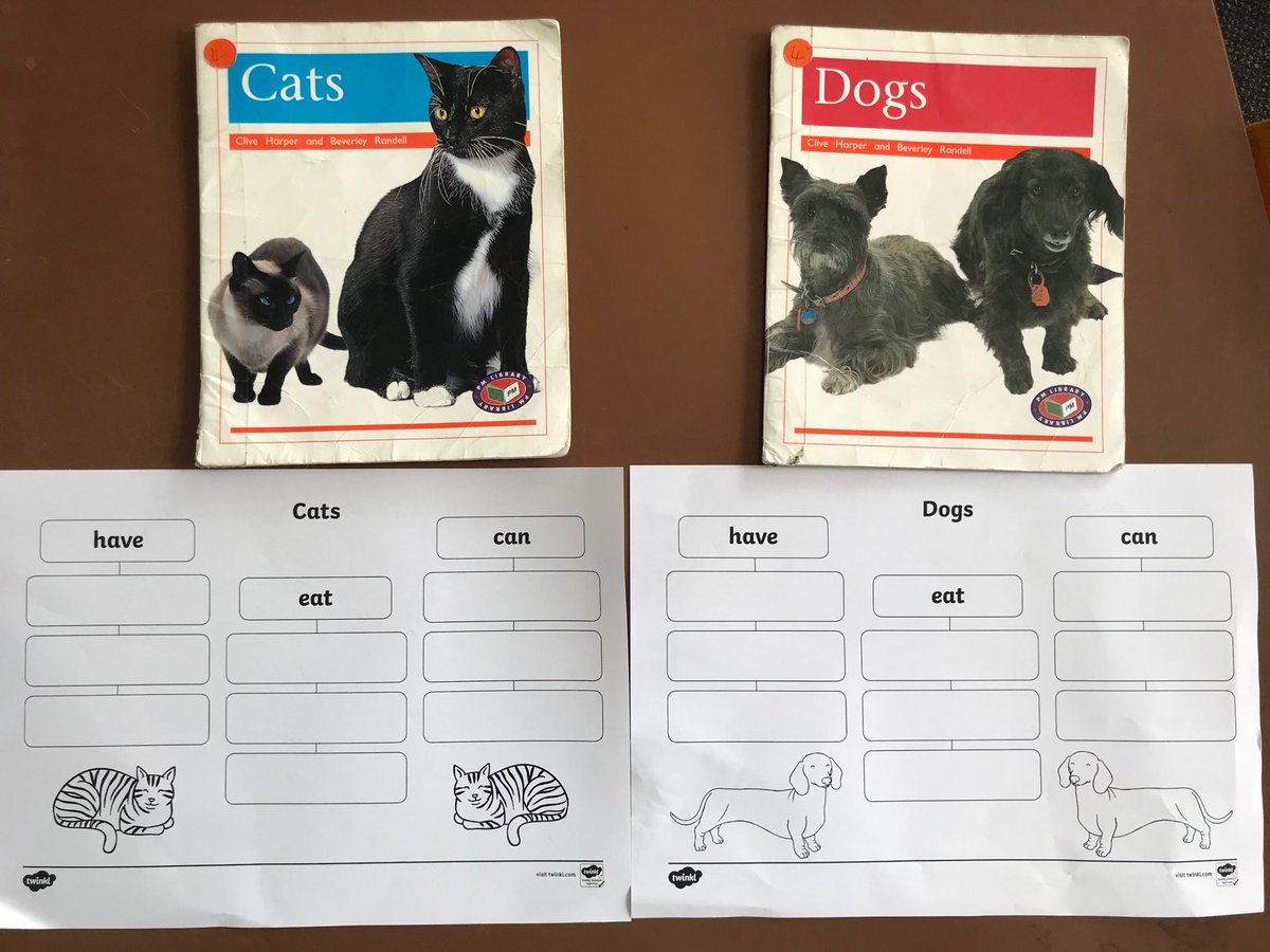 TwinklNZ's tweet photo. Using #twinklresources and #pmreaders to research about animals for #petday this week #funtimes #TwinklNZ #twinkl https://t.co/4OcJwe8uSy