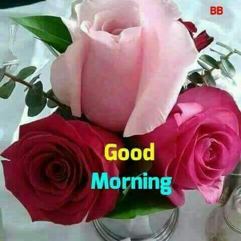 @Teambungoma @vincentateya <a href="/QwetuRadio/">QwetuRadio</a> <a href="/mastermogaka/">mastermogaka</a> <a href="/Marina_Maree/">#Mareena_#JustTheeMareena</a> <a href="/Drmorema2/">Drmorema</a> @martha_dama <a href="/switbbz/">Sweetbaby mwangi 💋</a> #QwetuAsubuhi 
MORNING
<a href="/TNakhumicha/">Triza Nakhumicha</a> 
<a href="/aggywamukoya/">Aggy Wamukoya</a> 
<a href="/jaimessimeone1/">Jaimes SIMEONE</a> 
<a href="/paulLugai/">PC LUGAI🇰🇪🇰🇪</a> 
@Kavosa_bena 
@NancyAkongo1 
<a href="/mose_chelsea/">mose_chelsea</a> 
<a href="/ems_mal/">Zuhra wa Chelsea</a>