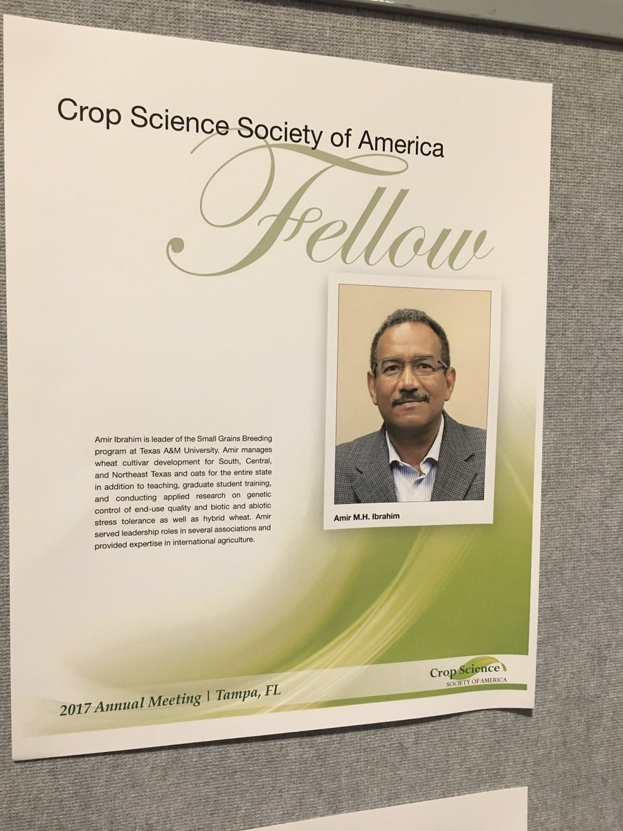 AgriKIND's tweet photo. The well deserved honor of #CSSA Fellow awarded to @AibrahimAmir of #TAMU #AgriLife at the 2017 #ACSmtg https://t.co/67zADe45OP