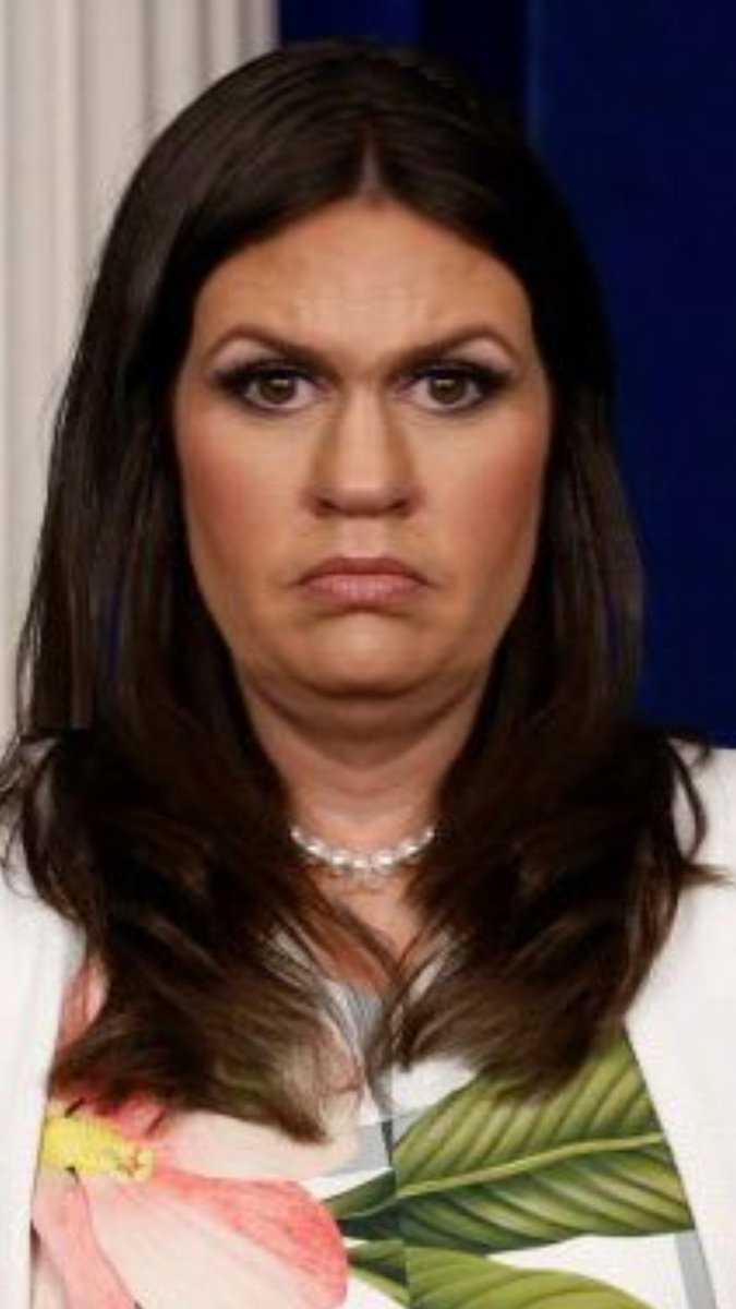 lovealaska1105's tweet image. @PressSec Hey Sarah, what if your husband tells you he is having an affair because it's just how he feels. It's ok, right? That's how/feels.