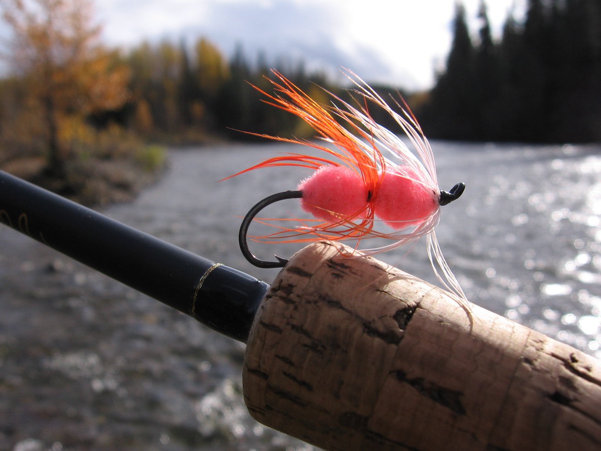Fly Fishing Survey (30 seconds or less)

Click here ==>> surveymonkey.com/r/HWBHJ9K

#flyfishing #flytying #discover