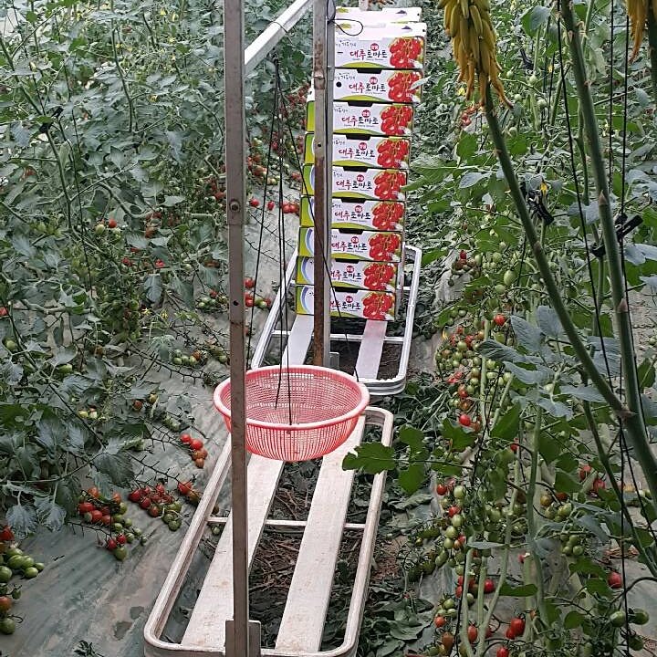 수확물 운반구. 
010ㅡ8000ㅡ3557