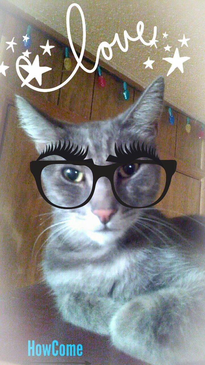 HowCome2017's tweet image. HowCome