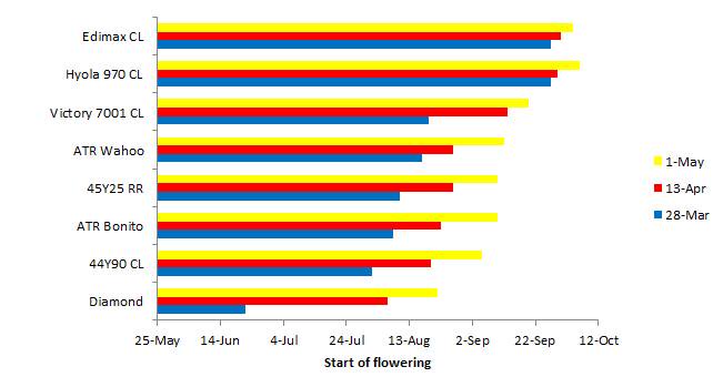 Rohan Brill tweet media