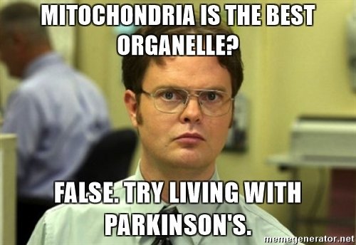 CellWal21833504's tweet photo. Dwight's got it right! Give US your vote! #Vote4CW #OrganelleVote42017 https://t.co/n9Ik8zoPqK
