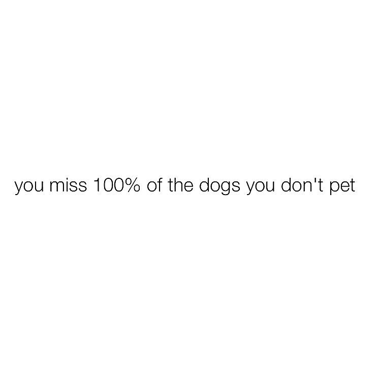 PawCommons's tweet photo. If petting all the #dogs makes us overachievers, then so be it! π #DogMeme #DogsofTwitter #PawCommons #MondayMotivation https://t.co/IS13uCZEFh