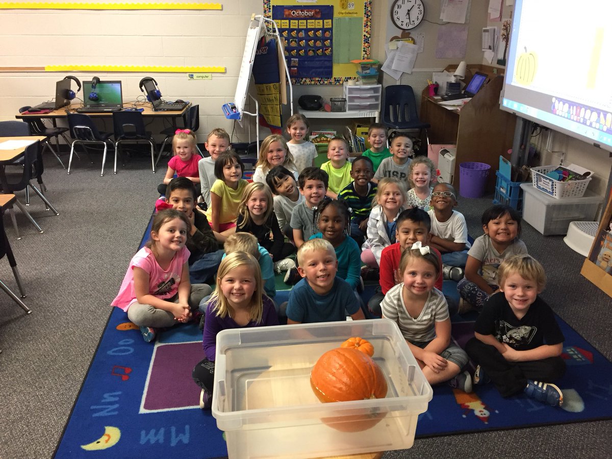OlmsteadsOtters's tweet photo. Experimenting with pumpkins today🎃 sink or float? #simpsonvillestrong #pumpkinsfloat https://t.co/ZPoJ5z8qtF
