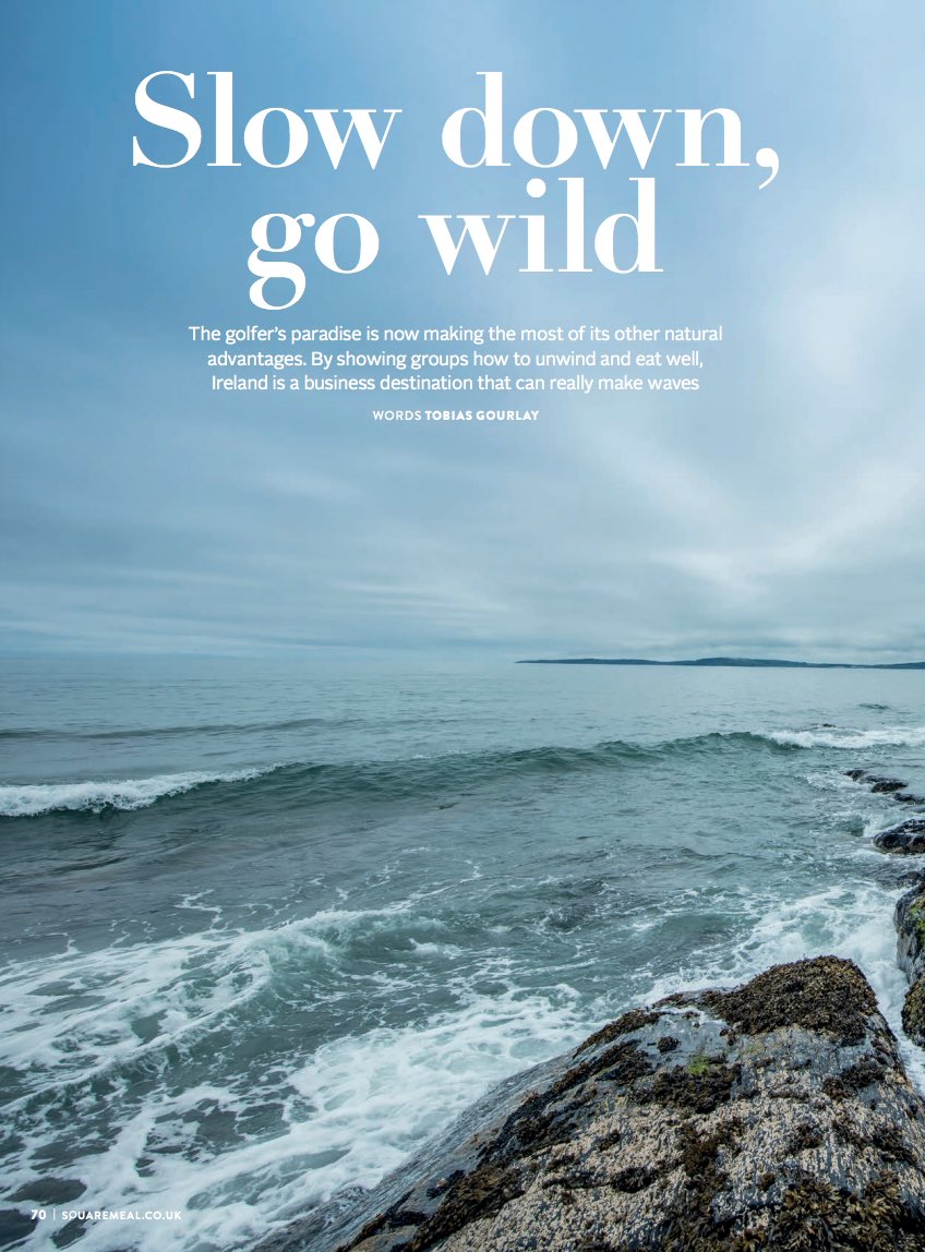 Conference_Cork's tweet photo. Exciting to read the wonderful piece on Ireland in @squaremealvande by Tobias Gourlay after his "grand tour" of Cork guided by @evelynosull https://t.co/4E30Cvu0ad