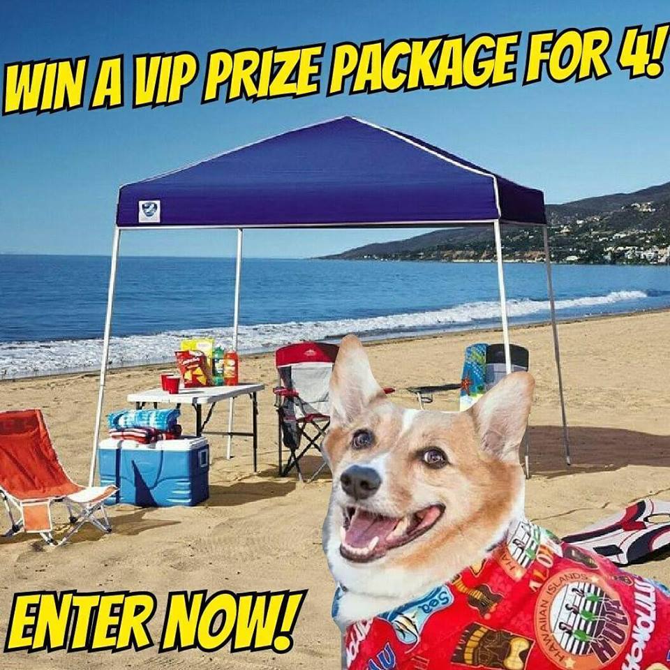 HAVE YOU PURCHASED YOUR RAFFLE TICKETS YET?!?! The CBD VIP Tent is bigger and badder than ever! 100% of the proceeds go back to QBSDR!