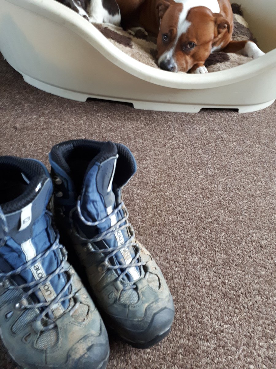 DogsAdventure's tweet photo. Want to keep your muddy boots away from clothes when #camping put them in a shower cap #GetOutside #idears #woof #tentlife https://t.co/hg5WDIzQ9n
