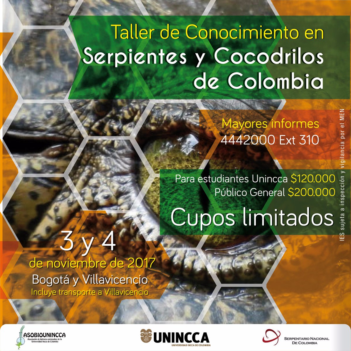 uninccaoficial's tweet photo. Taller de Conocimiento en Serpientes y Cocodrilos de Colombia. #UNINCCA https://t.co/zVXN26h7yV