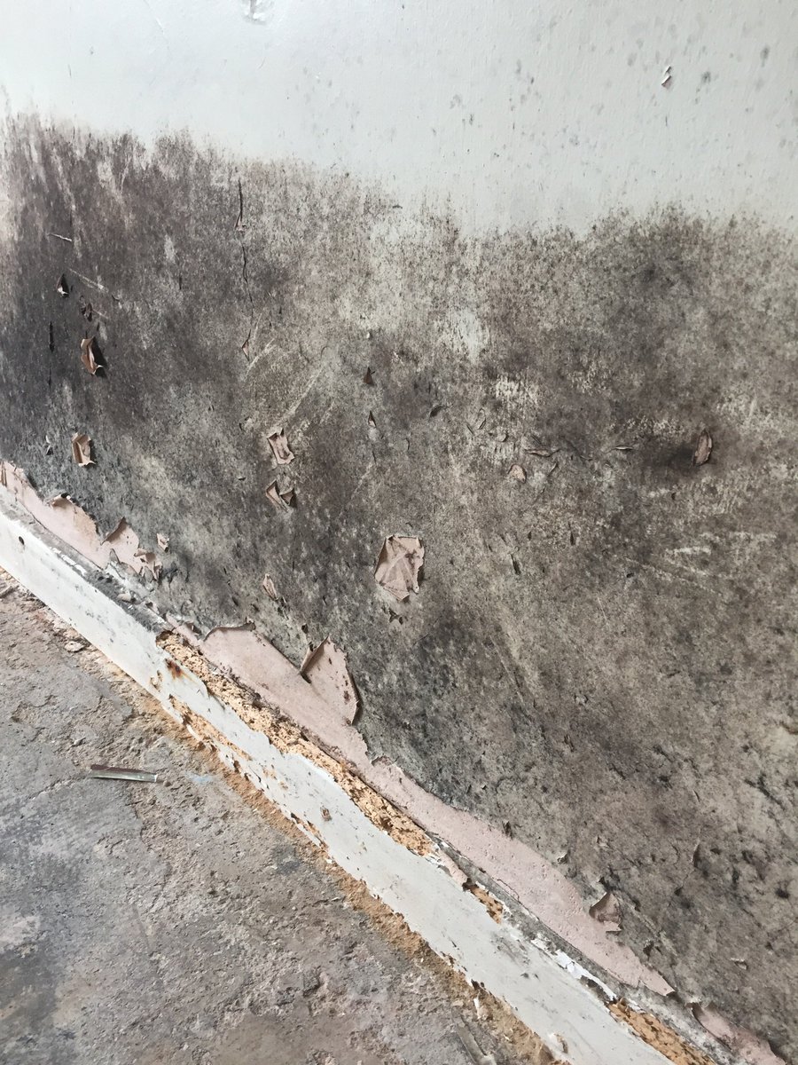 Cannondamp's tweet photo. Got this.
Get Cannon.
#damp #propertry #landlord #help #survey #yorkshireis #sheffieldis #barnsleyis #rotherhamis #chesterfieldis https://t.co/0qwCGHUpBR