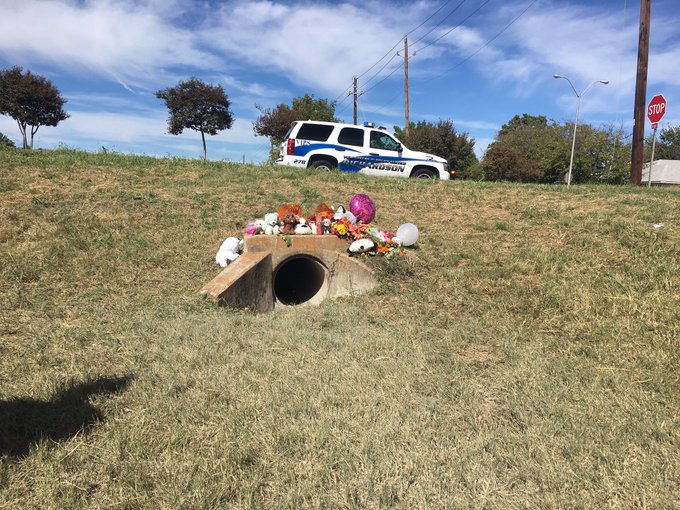 View image on Twitter View image on Twitter