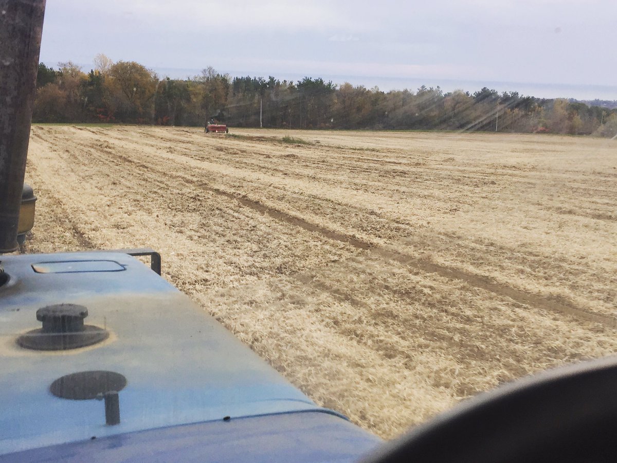 Jenn_Cheer's tweet photo. It's was an awesome evening to be out working in the field again with dad 🚜#plantingwheat #plant17 #farmersdaughter https://t.co/ZhRRtI8S0Y