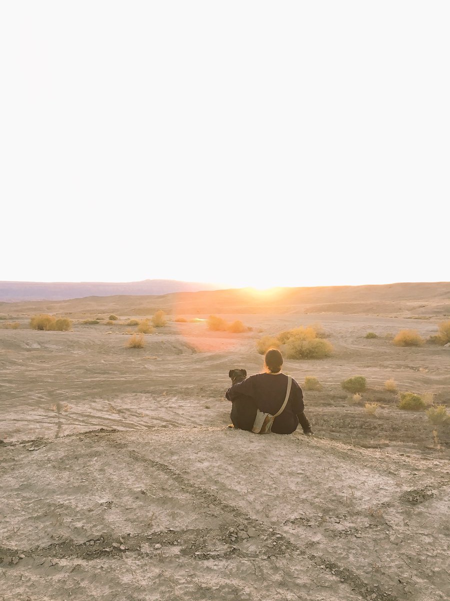 malloryycorinne's tweet photo. Prianna and Olive soaking up the last of the suns rays🐾🌄#evm213 https://t.co/zFDAgyPCaO