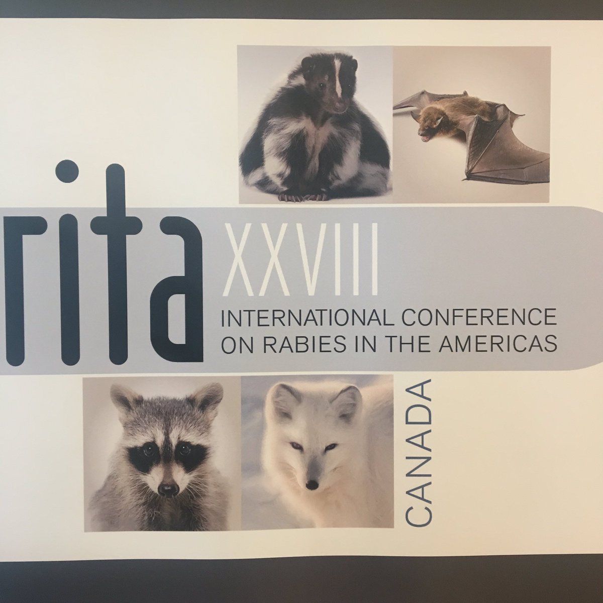 Alasdair_MAH's tweet photo. End of day 1 at #RITA2017 and our cold chain monitoring study seemed to go down well, stimulated a lot of discussion https://t.co/KomUwUnytz