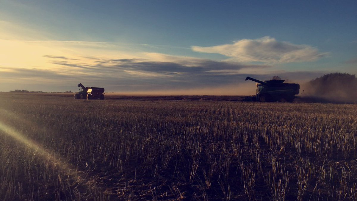 BaileySjogren's tweet photo. #AllAboutHarvest17 @ Sjogren Farms 🌾 https://t.co/Sk9sciNfSu