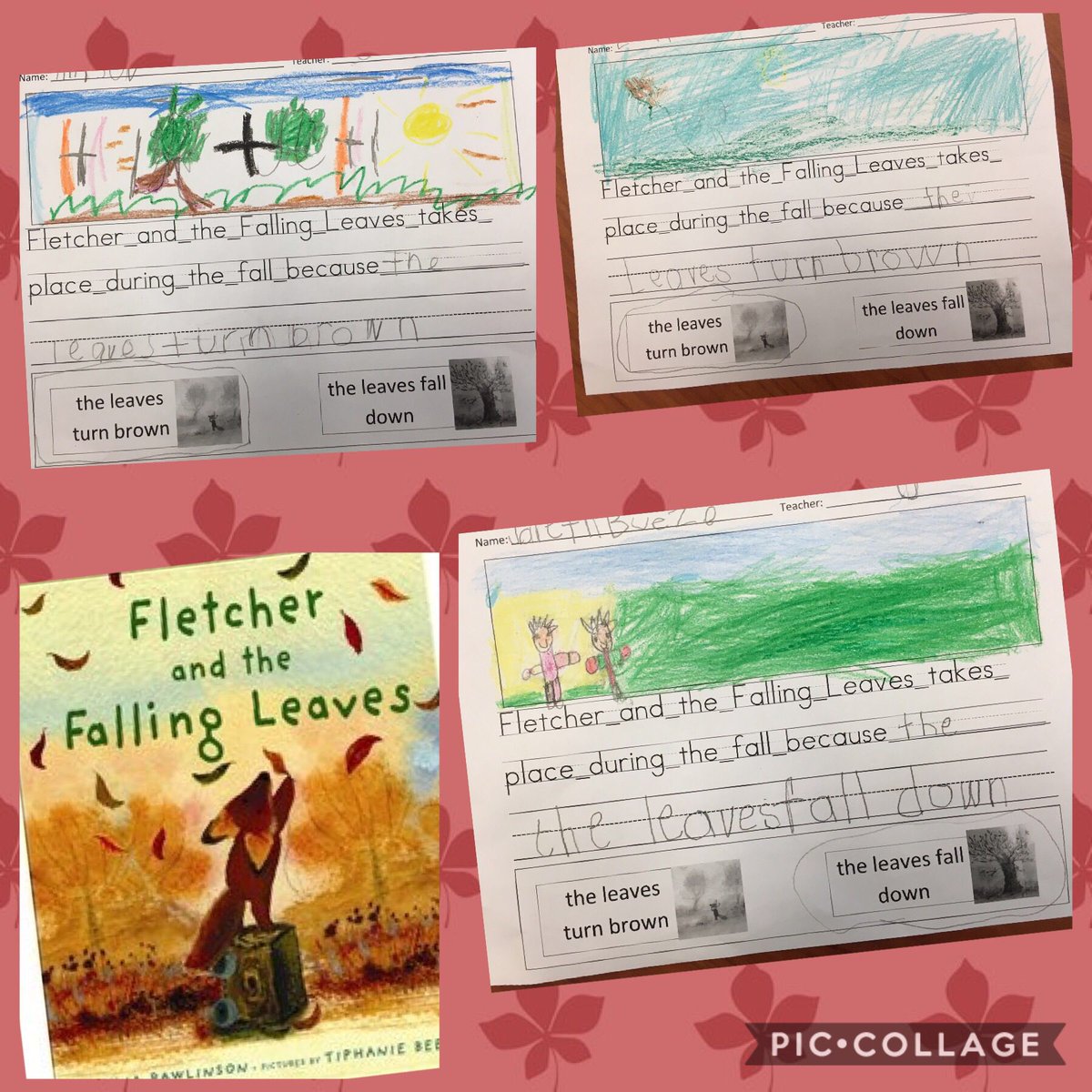 DoloFrost's tweet photo. @CASCougars k SS heard #FletcherAndTheFallingLeaves. They chose which fall part of the story they liked best, wrote about it &amp; illustrated 🍂 https://t.co/HxukAOz33Q