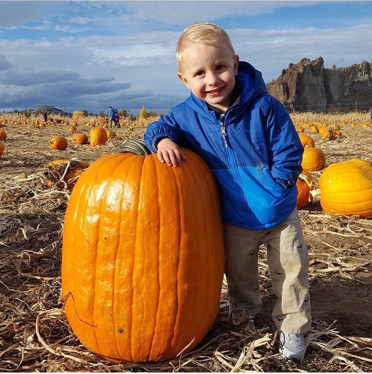 VarlesiFam's tweet photo. Pumpkin patch fun! https://t.co/xYElvUDEVz