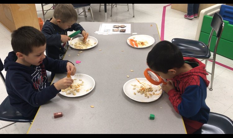 MsBeckyNedzaK's tweet photo. Today students explored the inside of a pumpkin and applied their pumpkin vocabulary. 🔍🔍 #seeds #pumpkinpulp https://t.co/m2WYddeo50