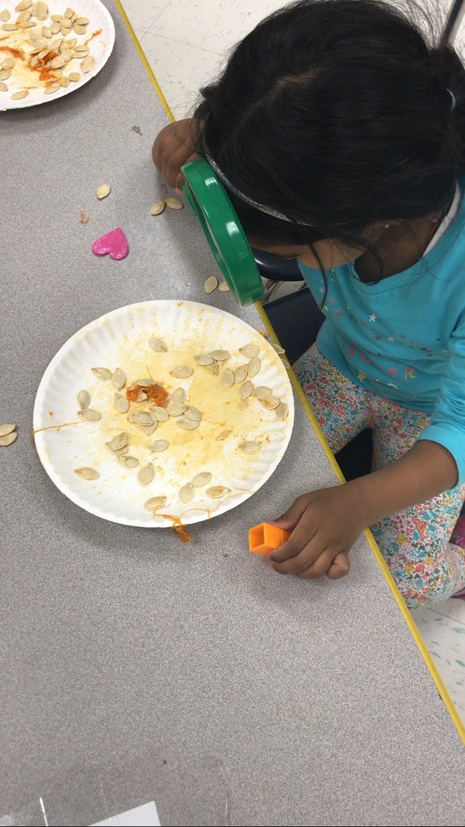 MsBeckyNedzaK's tweet photo. Today students explored the inside of a pumpkin and applied their pumpkin vocabulary. 🔍🔍 #seeds #pumpkinpulp https://t.co/m2WYddeo50