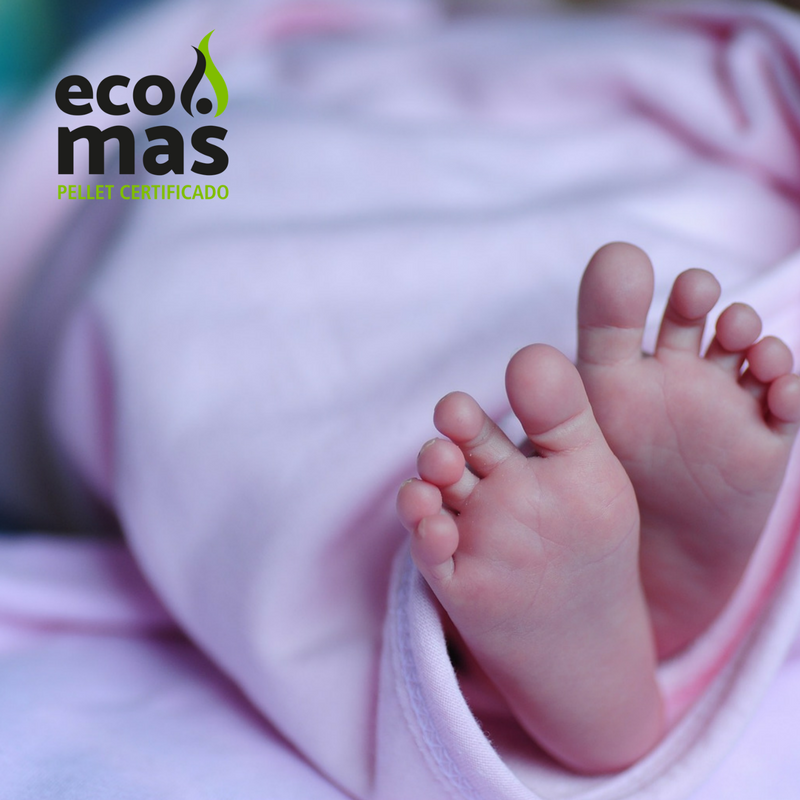 Hoy vuelven las nubes a Concepción :( prepara tu hogar con lo mejor del mercado ¡Pellet Ecomas! #CasaCalentita