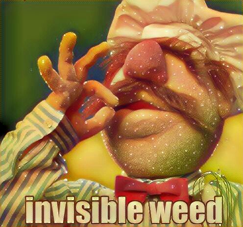 RetiredRatchet's tweet photo. #grinding4success to avoid the invisible weed problem
#purplekushguru https://t.co/691j60lrZ7
