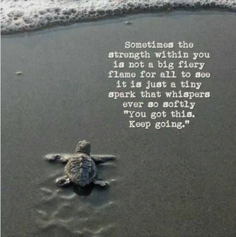BeYoutification's tweet photo. #believeinyou #beyoutification #youcandoanything #youvegotthis https://t.co/1EtQPoWwq1