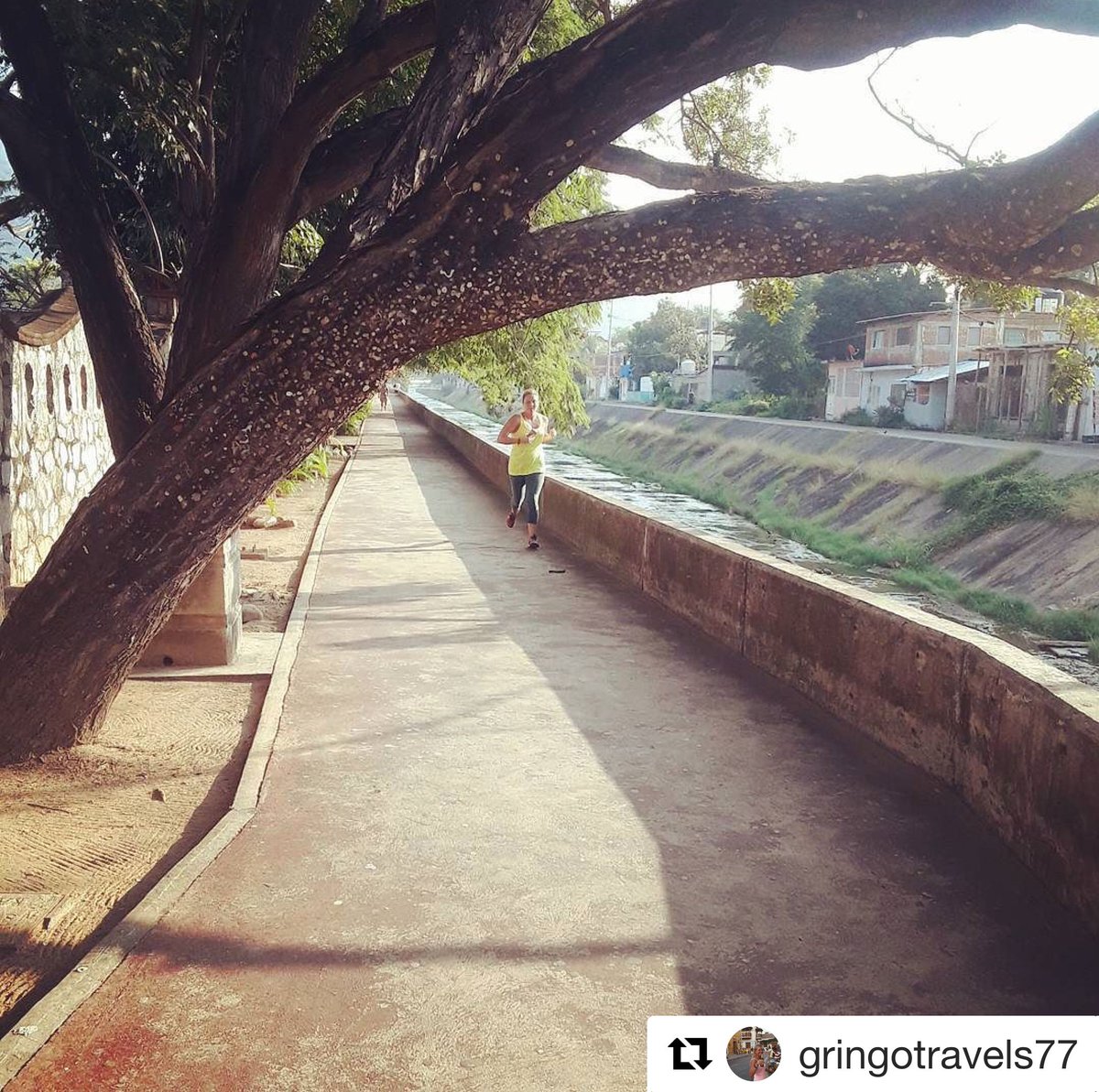 ixyzih's tweet photo. “Like” si conoces este árbol en #Zihuatanejo 😀 https://t.co/ddbN2z8fyG
