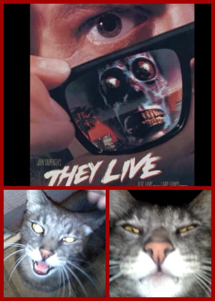 HowCome2017's tweet image. HowCome