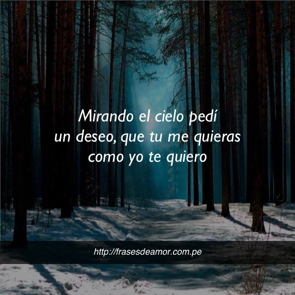 frasesDamorr2's tweet photo. Mirando el cielo pedí un deseo #frasesdeamor https://t.co/AtWIH6O2wH https://t.co/KBzpCoIJOz