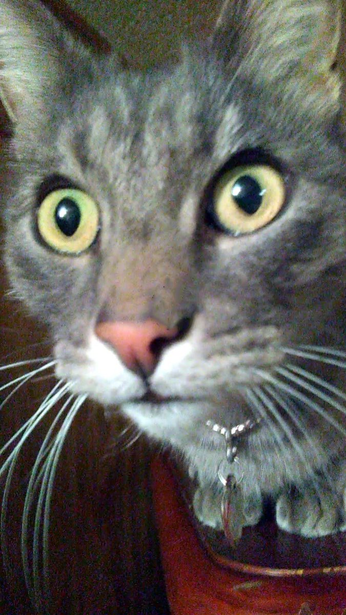 HowCome2017's tweet image. HowCome