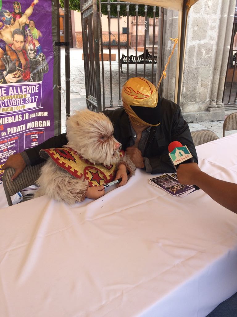 LuchaLibreSMA's tweet photo. @tinieblasalushe hoy en #SMA firmó autógrafos y fotografías 🤳#Promocion este sábado 28 octubre #ModuloComude venta 🎟️🎟️🎟️🤼💪 #LuchaLibreSMA 👌 https://t.co/rD1BApm9nS