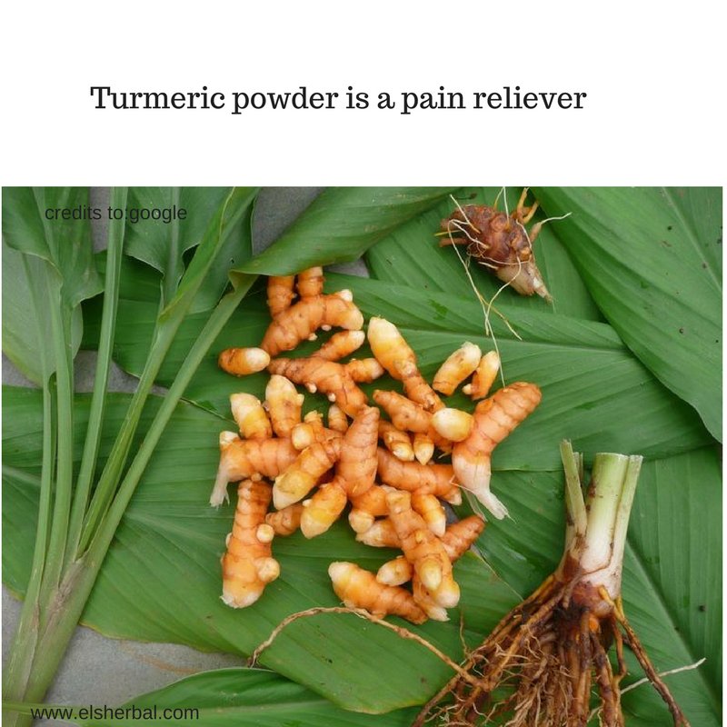 elsherbal's tweet photo. #goodbyepain
#quibvcaiturmericpowder
#digitalmarketing
Visit https://t.co/4HEGTlvE7x https://t.co/aljsaHPEih